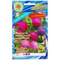 ราคา เมล็ดบานไม่รู้โรย คละสี (5627262567)