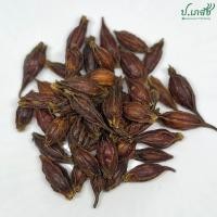 ราคา เม็ดพุดจีน ใช้ต้มกับเก๊กฮวย 15 กรัม 50 กรัม 100 กรัม 500 กรัม เม็ดพุดจีนแห้ง เม็ดพุด ลูกพุด กีจี้ กุยจี้ (19649901794)