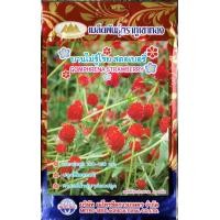 ราคา เมล็ดดอกบานไม่รู้โรย สตอเบอรี่ GOMPHRENA ดอกสีแดง MT FW 15 ประมาณ40เมล็ด ตราภูเขาทอง เมล็ดพันธุ์ดอกบานไม่รู้โรย เมล็ดดอกไม้ (20139870192)