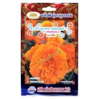 ราคา เมล็ดดอกดาวเรือง ฮอลแลนด์14 MT FW 18 ดอกสีส้ม F 1MARIGOLD ตราภูเขาทอง เมล็ดพันธุ์ดอกดาวเรือง เมล็ดพันธุ์ดอกไม้ เมล็ดดอกไม้ เมล็ดดาวเรือง (20140067980)