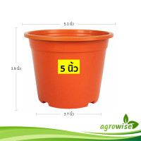 ราคา กระถาง กระถางต้นไม้ ทรงกลม ขนาด 5 นิ้ว สีอิฐ (21399513805)
