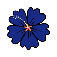 ราคา ตัวรีดติดเสื้อดอกชบา ลายใหม่ สวยๆ FP 02 รีดติดง่ายทุกเนื้อผ้า (21993657825)