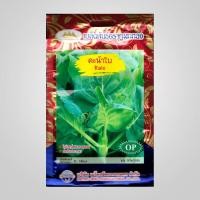 ราคา เมล็ดคะน้าใบ Kale MT OP 049 ตราภูเขาทอง เมล็ดพันธุ์คะน้าใบ คะน้าใบ เมล็ดพันธุ์ผัก เมล็ดคะน้า เมล็ดพันธุ์คะน้า เมล็ดผักสวนครัว (20126229730)