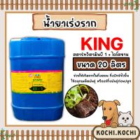 ราคา น้ำยาเร่งราก คิงสตาร์ท วิตามิน บี 1 ผสมไคโตซาน ขนาด 20ลิตร เร่งรากบี1 น้ำยาเพิ่มราก เร่งการเจริญเติบโต สารเร่งราก สารกระตุ้นราก (20562852511)
