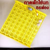 ราคา ถาดกลับไข่ รางฟักไข่ รุ่นแบบหลุม สำหรับใส่ไข่ไก่ ไข่นก ไข่ห่าน ไข่เป็ด พร้อมมอเตอร์ 2 5 rpm 220v (18838105064)