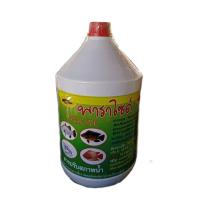 ราคา กำจัดพยาธิ กำจัดปรสิต เห็บ หนอนสมอ ปรับสภาพน้ำ แผลปลา กบ กุ้ง (12114945895)