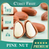 ราคา ไพน์นัทหรือเมล็ดสน ติดเปลือก อบธรรมชาติ พร้อมทาน นำเข้าเกรดพรีเมียน pine Nuts ธัญพืชนำเข้าเกรดพรีเมียม (22203971256)
