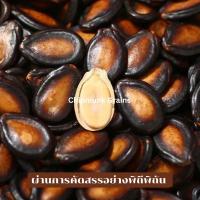 ราคา เมล็ดแตงโมอบ5รส เมล็ดแตงโมอบพร้อมทาน เมล็ดแตงโมติดเปลือก (21970864341)