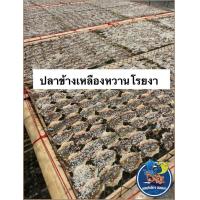 ราคา ปลาข้างเหลืองหวานโรยงา อร่อย สดใหม่ ฮาลาล (21607005610)