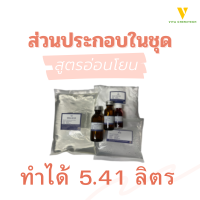 ราคา ส่งฟรี ชุดทำสบู่เหลวล้างมือ (21291345476)