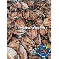 ราคา ปลาทูแขกผ่าแดดเดียว ตัวใหญ่ เนื้อเยอะ ตากสดใหม่ทุกวัน ปลอดสาร เค็มน้อย (21747632736)