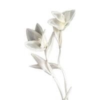 ราคา TSEVD 2pcs 3D แมกโนเลียดอกไม้ appliques งานทำมือ ผ้าปักลูกไม้ แพทช์เสื้อผ้า อุปกรณ์เสริมเสื้อผ้า สีขาวขาว เสื้อผ้า applique ชุดเดรส (21680587326)