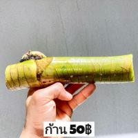 ราคา พลูด่าง พลูยักษ์ ต้นพลูด่าง ยักษ์ใหญ่ ใบฉีก (21599423883)