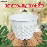 ราคา กระถางต้นไม้ Airpot กระถางปลูกสายเขียว กระถางเร่งราก สีขาว สีดำ ขนาด 12นิ้วของแท้ (21534749664)