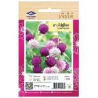 ราคา บานไม่รู้โรย CT FW 056 เมล็ดพันธุ์ดอกไม้ เจียไต๋ เมล็ดพันธุ์ ดอกบานไม่รู้โรย ดอกไม้ เมล็ดดอกไม้ ตราเครื่องบิน (20057527224)