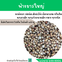 ราคา ฟ่างขาวใหญ่ แบ่งขาย 200 500G อาหารสำหรับ ฟอพัส เลิฟเบิร์ด ค็อกคาเทล กรีนชีค นกแก้วขนาดเล็ก กลาง แฮมสเตอร์ (19855129110)
