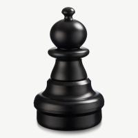 ราคา ตัวหมากรุกยักษ์แบบแยกชิ้น Individual Plastic Giant Chess Pieces for a 25 inch Set (21139612648)