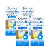 ราคา Scacare สกาแคร์ เพอร์เฟ็คท์ ไวท์เทนนิ่ง ไนท์ครีม 30 กรัม 4 กล่อง ครีมบำรุงผิวหน้ากลางคืน Night Cream (127616660)