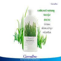 ราคา เวติเวอร์ แชมพู กิฟฟารีน แชมพู แชมพูสูตรอ่อนใส Giffarine Vetiver Shampoo (9783384510)