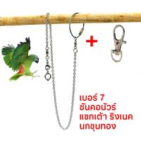 ราคา พร้อมส่ง โซ่คล้องขานก สายจูงนก โซ่นกแก้ว โซ่จูงนก โซ่สำหรับนกแก้ว ห่วงเปิดขานก ห่วงขานก ยาว 80 ซม สแตนเลส (21211447381)