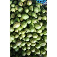 ราคา ลูกมะนะ ลูกสมอไทย500g (16436354764)