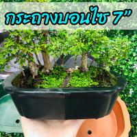 ราคา กระถางบอนไซ 7 นิ้ว กระถางต้นไม้ญี่ปุ่น กระถางปลูกแคคตัส กระถางเพาะ กระถางพลาสติก homes (3969180554)