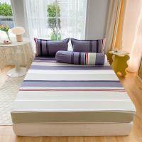 ราคา Dansunreve ผ้าปูที่นอน 5ฟุต 6ฟุต 3 5ฟุต ชุดผ้าปูที่นอนลายเรขาคณิต ด้วยยางผ้าปูที่นอน สําหรับตกแต่งห้องนอน (21779451429)