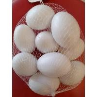 ราคา ไข่ไก่ 12 ฟอง ไข่ไก่ปลอม ไข่ของเล่น ไข่เป็ด 10 ฟอง ไข่ของเล่น ไข่เป็ดปลอม ราคาถูก (11451275474)