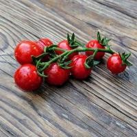 ราคา 25 เมล็ด เมล็ดมะเขือเทศ สายพันธุ์นอก เมล็ดผักสวนครัว ปลูกได้ทุกที่ ปลูกผักทาน ปลอดสารพิษ Tomato seeds สายพันธุ์ Garnet cherry (21728552453)