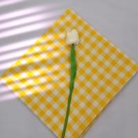 ราคา ผ้าพล็อพถ่ายรูป ผ้าปูโต๊ะ ลายตารางกลาง ผ้าปูปิคนิค ผ้าปูชายหาด ไม่เย็บริม (16958951093)