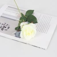 ราคา YTL ดอกไม้ กุหลาบ ไม้ประดิษฐ์ดอกกุหลาบ Rose ดอกกุหลาบช่อยาว ดอก ไม้ตกแต่งบ้านดอกกุหลาบ ดอกไม้ปลอม ดอกไม้ประดิษฐ์ ดอกกุหลาบปลอม ดอก (21728076411)