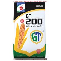 ราคา เมล็ดพันธ์ข้าวโพดเลี้ยงสัตว์ GT200 m 3 5หุน ขนาด10กก (19199324803)
