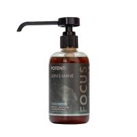 ราคา POTENT l Organic Sugar Free LIONS MANE Mushroom Syrup 250ml (21756983001)