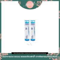 ราคา พร้อมส่ง ลดบวม เขียว ช้ำ Boiron Single Remedies Arnica Montanca 30X 3 Tubes Approx 80 Pellets Each (19422074446)