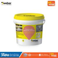 ราคา เวเบอร์ ดราย คริสตัลไลซ์ ไฮบริค ซีเมนต์กันรั่วซึม 5 กก (14129724714)