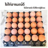 ราคา ไข่ไก่อารมณ์ดี Size M น้ำหนัก 45 55 กรัม ฟองเก็บสดใหม่ทุกวัน รับประกันคุณภาพ (21241699577)