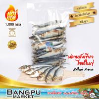 ราคา ปลาหลังเขียวใหญ่ ตากแห้ง 1 kg ถอดเกล็ด ปลาสองแดด ไร้เกล็ด ขนาดใหญ่ ปลาหลังเขียวเค็ม ปลาเค็มไม่มีเกร็ด ปลากุแลตากแห้ง ปลาหลังเขียวแดดเดียว ปลาทะเลตากแห้ง ปลาหลังเขียว ปลากุแลดิบ Dried big greenback fis