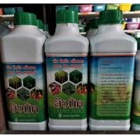 ราคา ฮิวมิค Humic acid ชนิดน้ำ ขนาด 1L (9335478579)
