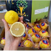 ราคา เลม่อน lemon 10 ลูก นำเข้า หอม น้ำเยอะน้ำหนักสินค้าประมาณ 1 7kg (19267142984)