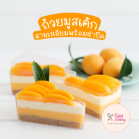 ราคา ถ้วยมูส ถ้วยพลาสติกใส สามเหลี่ยม พร้อมฝาปิด 10 ใบ ถ้วยมินิเค้ก บานอฟฟี่ บลูเบอรี่ ชีสเค้ก ชีสพาย ถ้วยใส ถ้วยวุ้น ถ้วยเนื้อแข็ง Plastic cup (18507131063)