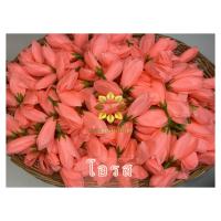 ราคา ดอกจำปา ดอกจำปี จำปี จำปา ดอกไม้ปลอม (20865505189)