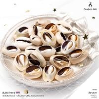 ราคา เปลือกหอยธรรมชาติ หอยเบี้ย สำหรับงานเครื่องประดับและงานประดิษฐ์ (21939986883)