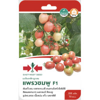 ราคา มะเขือเทศสีดาลูกผสม แพรวชมพู SD F1 064 ผักซอง ศรแดง F1 มะเขือเทศ East West Seed Tomato seeds เมล็ดพันธุ์ผัก เมล็ดพันธุ์ ผักสวนครัว (20115195973)