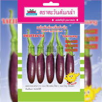 ราคา เมล็ดพันธุ์ มะเขือม่วงลิง หยกม่วง ตราตะวันต้นกล้า (19935219379)