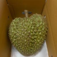 ราคา ส่งฟรี ทุเรียน ทุเรียนหมอนทอง ทุเรียนชุมพร เนื้อแห้ง หวาน หอม มัน อร่อย จัดส่งทั้งลูก มีรับประกันจากทางร้าน (22053672525)