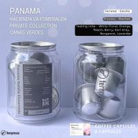 ราคา Panama Geisha Esmeralda Capsule (21361097778)