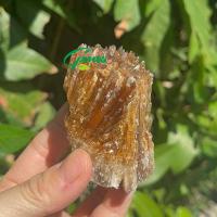 ราคา 5 7cm Raw Amber Stone Black Amber Healing Crystals and Stones Raw Stones Amber Crystal Raw Amber (16244426680)