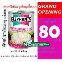 ราคา แห้วในน้ำเชื่อม (21581693829)