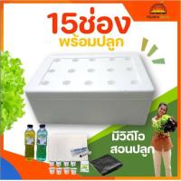 ราคา ครบชุด ชุดกล่องปลูกผัก ไฮโดรโปนิกส์ กล่องโฟม ปลูกผักไฮโดรโปนิกส์ hydroponic (21652223542)