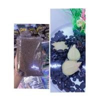 ราคา อาหารตะพาบน้ำเผือกตาแดงสวยงามลาคาถูก (21831175321)